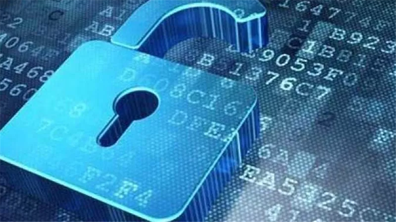 فضيحة بيانات تهز مصر.. ملفات PDF تكشف أرقام وعناوين فنانين ومشاهير.. «إحنا في الشارع بجد»   