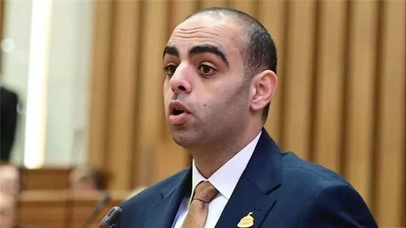 برلماني: مصر تواصل بناء قدراتها الوطنية بالتوازي مع تنفيذ مشروعات التنمية