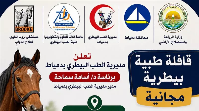 قافلة بيطرية مجانية بقرية كفر المياسرة في دمياط لدعم صغار المربين 