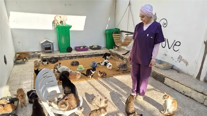 وصية صادمة في بريطانيا.. ثروة بـ800 ألف دولار تذهب للقطط بدلاً من الأبناء