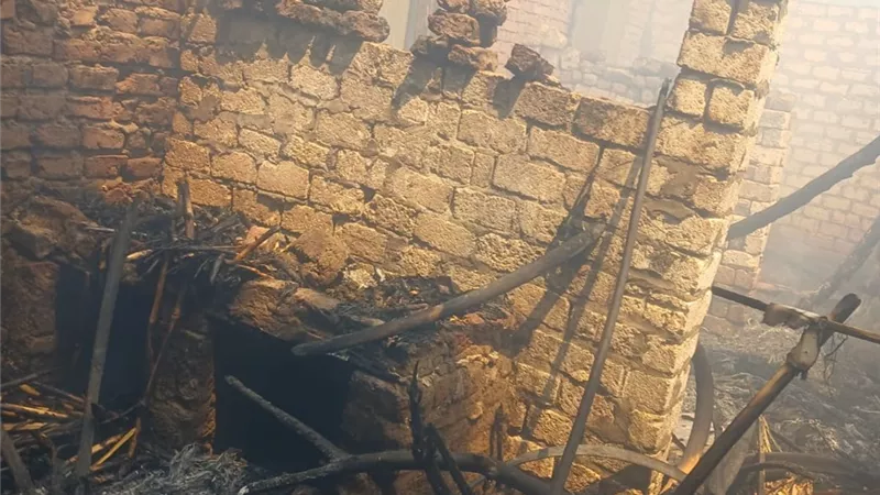 السيطرة على حريق اندلع في أشجار نخيل وأحواش مواشي بسوهاج 