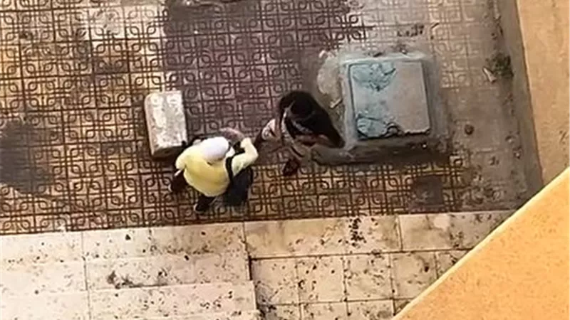  سيدة تعتدي على عمال نظافة أمام إحدى العمارات وجارة تدافع عنهم: «كمل شغلك»