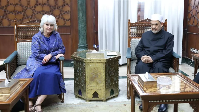 شيخ الأزهر: حقوق الإنسان تحتاج توافقًا عالميًا يحترم خصوصية الشعوب وثقافاتها