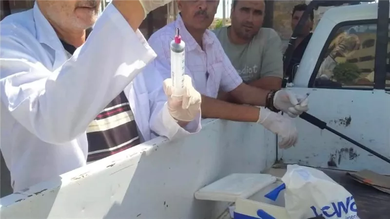 مديرية الطب البيطري تحصن 29 كلبا حرا بمدينة دمياط الجديدة لمواجهة السعار