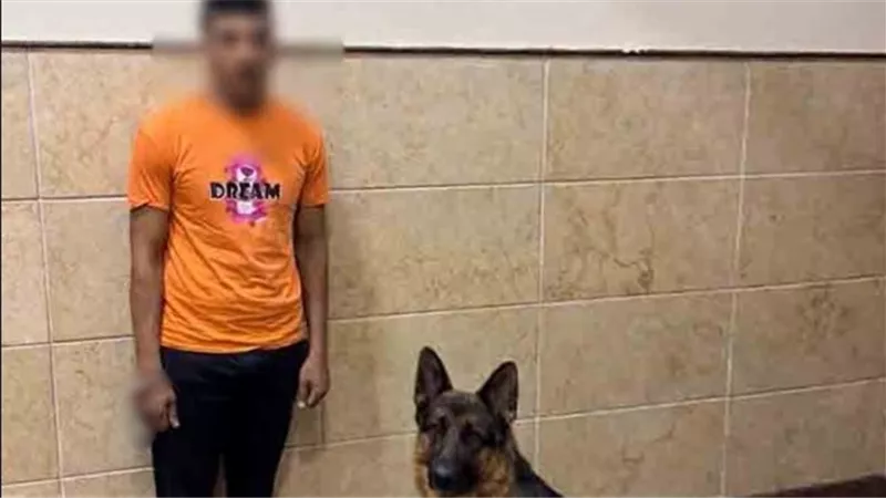 ضبط عامل حرض كلبه على مهاجمة سيدة في البحيرة بزعم 