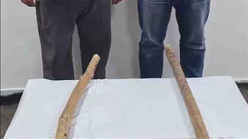 ضبط أب ونجله بعد الاعتداء على سيدتين بعصي خشبية في البحيرة