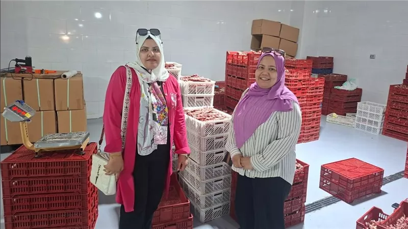 الزراعة: إنتاج 4 ألف طن من منتجات تدوير المخلفات بالمجازر على مستوى الجمهورية