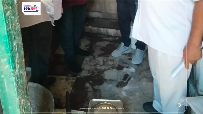 شئون البيئة بالفيوم تضبط مصنع أجبان غير مرخص ومخالف للاشتراطات البيئية بابشواى