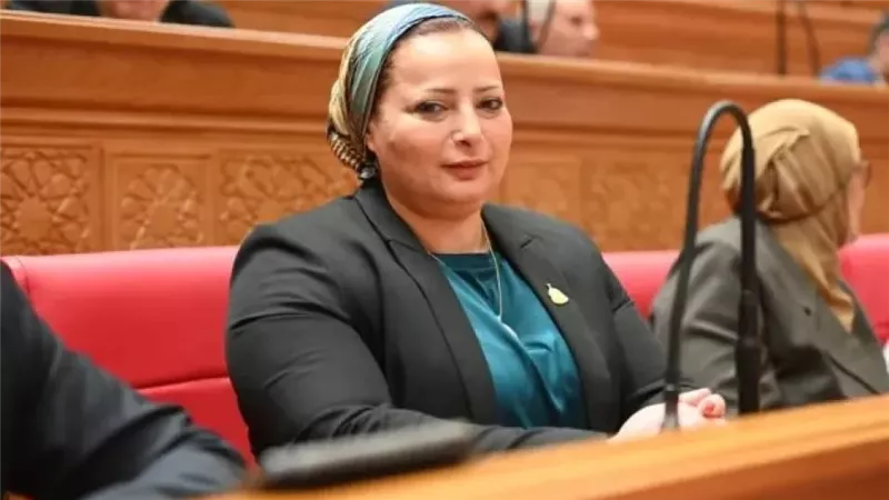 نائبة: إطلاق منظومة ربط البحث العلمي بالصناعة ينهي عصر الأبحاث حبيسة الأدراج