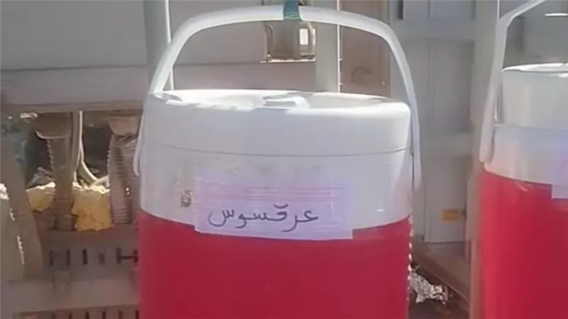 كولمن عرقسوس وآخر عناب يلفتان الأنظار في شوارع الشيخ زايد
