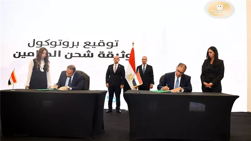 مصر تطلق وثيقة تأمين للمصريين بالخارج بتغطية تصل إلى 250 ألف جنيه