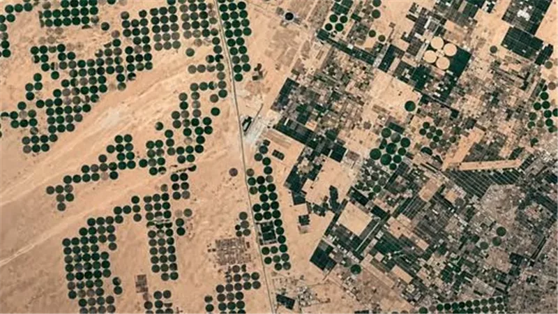 صور الأقمار الصناعية تؤكد نجاح جهاز مستقبل مصر في استصلاح الصحراء