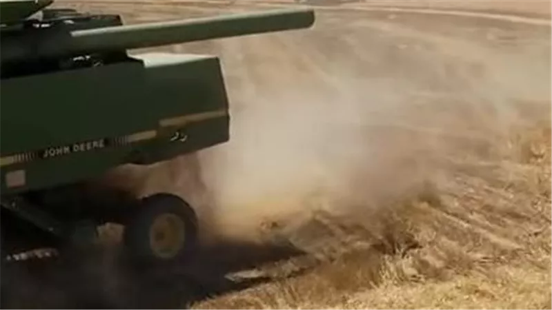 جهاز مستقبل مصر كيان ساند ظهر كل بيت مصري وشريان حياة .. فيديو