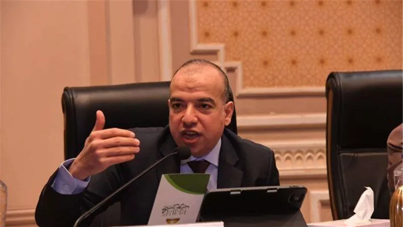 المستشار القانوني لرئيس النواب يؤكد تلافي الإشكاليات الدستورية ويشيد بانفتاح مستقبل مصر 