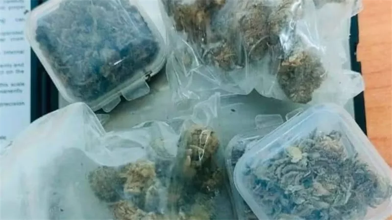 جمارك مطار الغردقة تُحبط تهريب مواد يُشتبه في كونها 