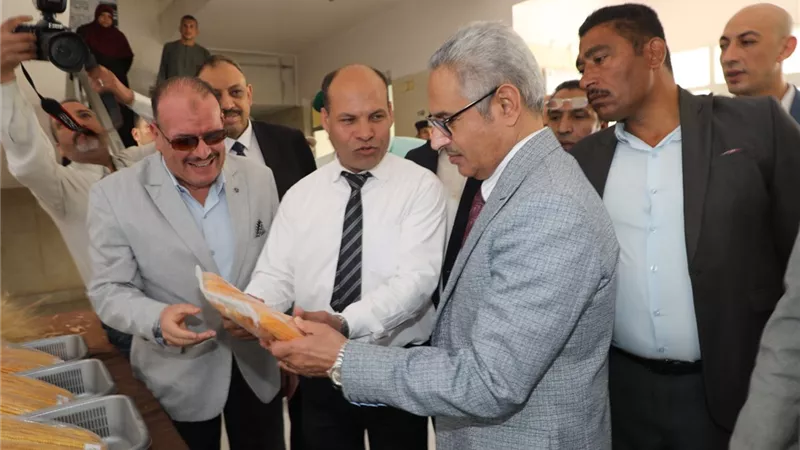 زراعة بنى سويف: انتهاء موسم توريد بنجر السكر وأكثر من 351 الف طن قمح بالمواقع