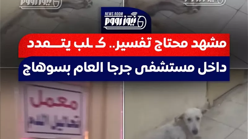 استجابة لـ