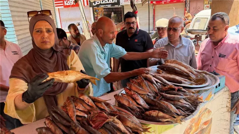 ضبط 100 كجم أسماك مملحة فاسدة وغير صالحة للاستهلاك الآدمي بالمنوفية