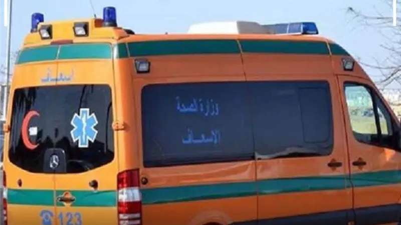 مصرع  فتاة عشرينية إثر سقوطها من قطار أثناء تحركة بالبحيرة
