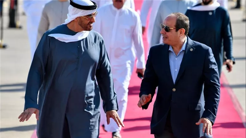 أستاذ علوم سياسية: العلاقات المصرية الإماراتية ركيزة للاستقرار الإقليمي