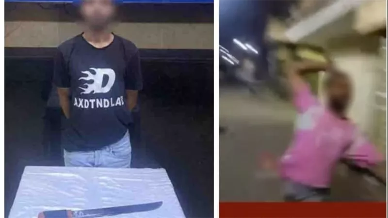 خلافات جيرة .. القبض على صاحب فيديو التعدي بسلاح على سيدة في دار السلام