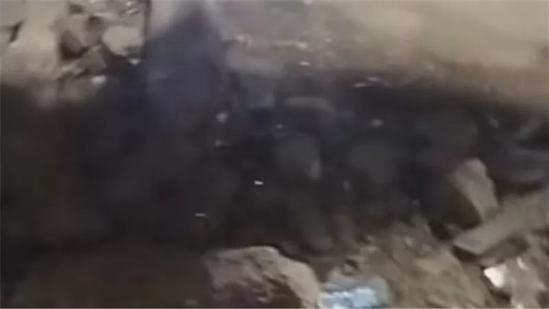 هل تتحول حملات النظافة إلى إهدار للمال العام؟ أهالي الخصوص يستغيثون 