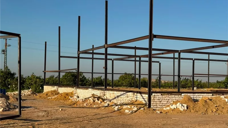 من الطموح للمستقبل.. حاضنات جيل زد نحو صناعة جيل التنمية والحصاد
