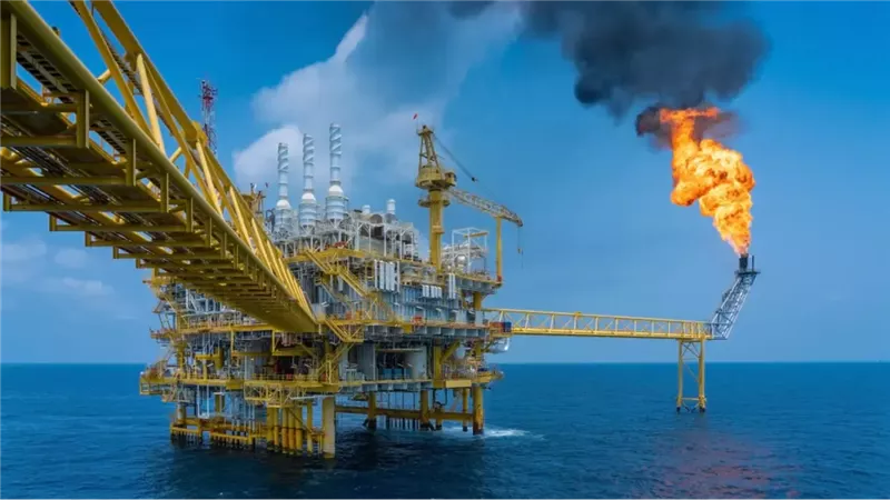 البرلس للغاز تضع مشروع 
