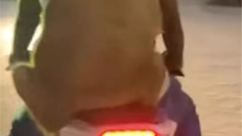 مواطن يخطف الأنظار بجولة على الموتوسيكل وكلبه يرافقه في مشهد لافت