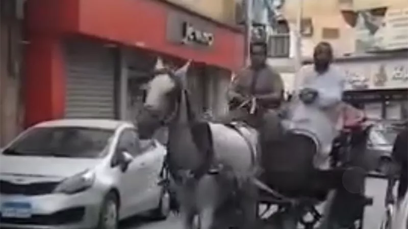 الحنطور يجذب السائحين ويعيد سحر الماضي بشوارع الأقصر