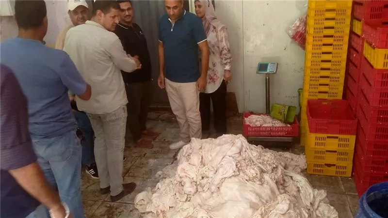 غلق وتشميع ثلاجة لحوم غير مرخصة.. وضبط أكثر من 2 طن دهون فاسدة بالمنوفية