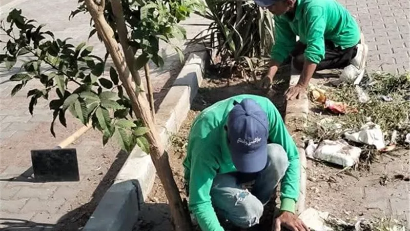 جهاز التجميل والحدائق بالسويس يواصل رفع كفاءة المسطحات الخضراء بشارع ناصر