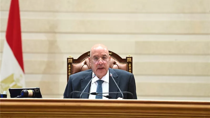 مجلس النواب يوافق على المادة 32 من قانون إعادة تنظيم جهاز تنظيم مستقبل مصر