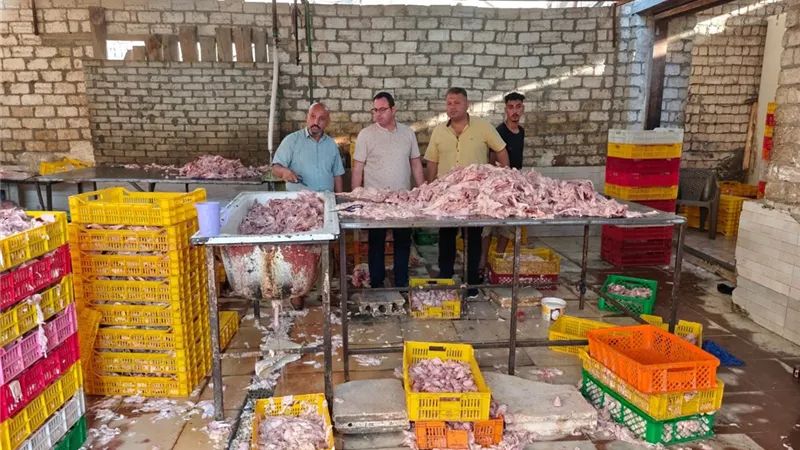 ضبط 60 طنًا من مقطعات الدواجن والمخللات غير الصالحة للاستهلاك الآدمي بالجيزة
