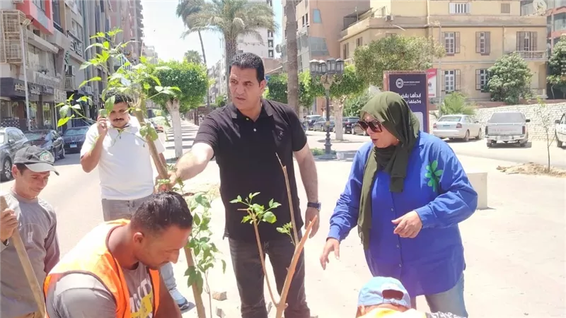 جهاز التطوير والتجميل يواصل أعمال التجميل وتكويد الأشجار بالإسماعيلية
