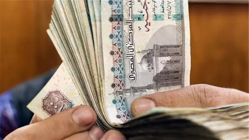 رسميًا.. تعرف على رواتب جميع الدرجات الوظيفية بعد زيادة الحد الأدنى للأجور