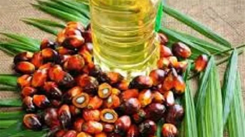 زيت النخيل يواصل الصعود للجلسة الثانية مع ارتفاع أسعار الخام