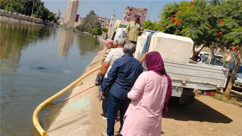 الشرقية تواصل دعم الثروة السمكية.. إنزال 400 ألف زريعة أسماك مبروك ببحر مويس 