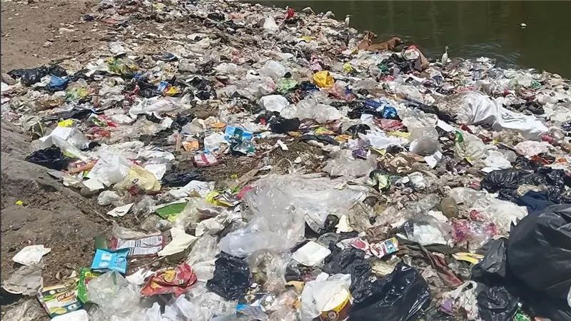 القمامة تحاصر الشوارع.. أهالي حوض العمدة بقليوب يستغيثون بمحافظ القليوبية