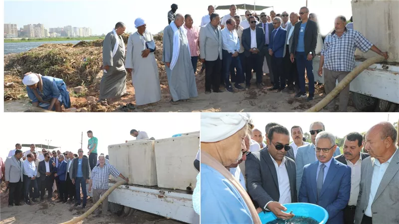محافظ بنى سويف يشهد إلقاء دفعة من الزرّيعات ضمن مشروع الاستزراع السمكي |تفاصيل