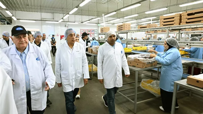 مدبولي يتفقد مزارع ومحطات فرز وتعبئة شركة «بلكو» للإنتاج الزراعي بمدينة السادات