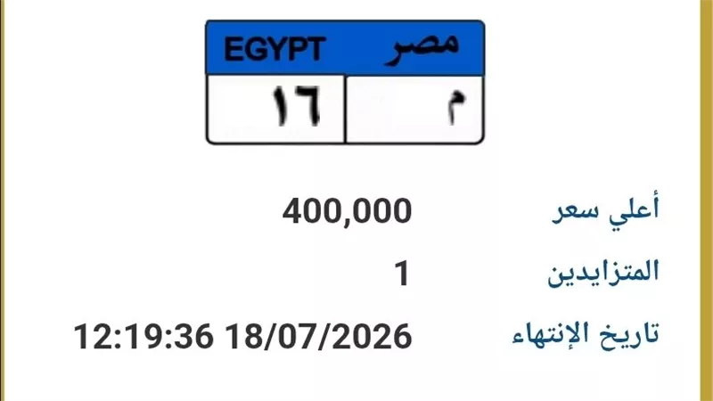 مزاد ساخن على لوحة «م 16».. السعر يقفز إلى 400 ألف جنيه