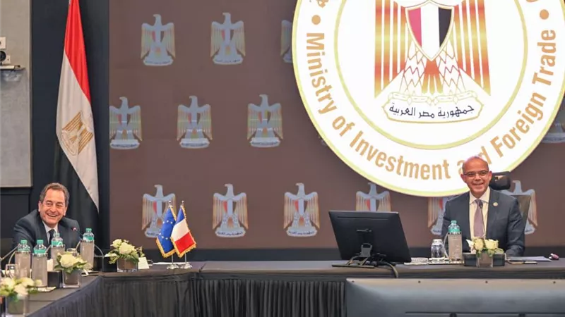 محمد فريد يبحث مع الشركات الفرنسية تذليل عقبات الاستثمار والتوسّع بمصر
