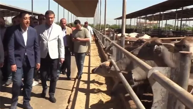 مدبولي في جولة موسعة بالمنوفية والعلمين لدعم مشروعات الأمن الغذائي والسياحة
