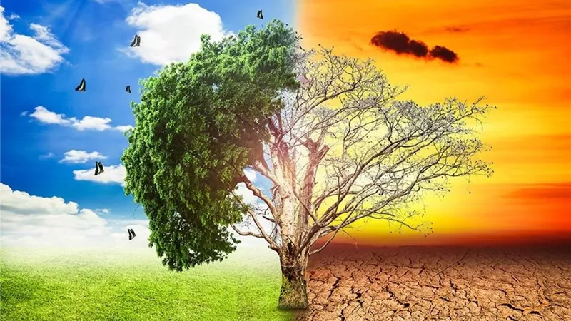 المركزي للإحصاء يصدر نشرة البيئة وتغير المناخ السنوية