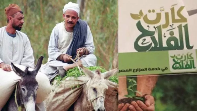 طريقة استخراج كارت الفلاح الذكي 2026.. الشروط والمستندات المطلوبة وخطوات التسجيل