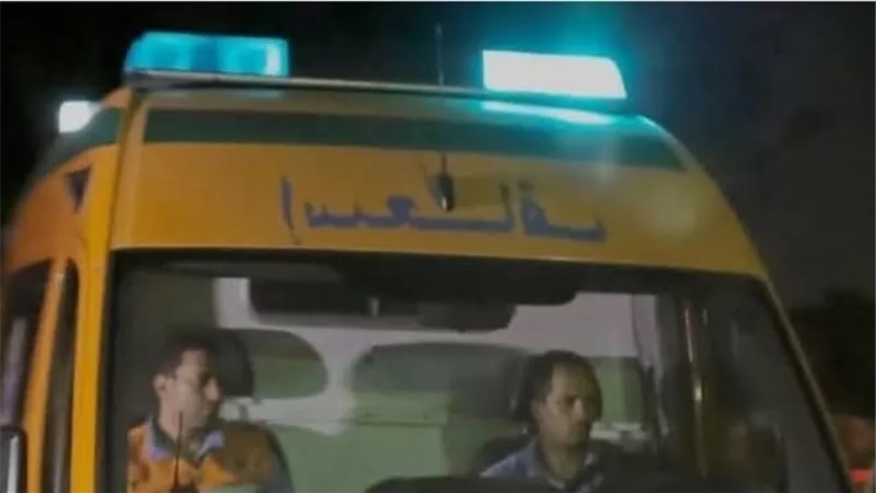 بينهم أطفال.. إصابة 9 أشخاص في هجوم كلب بقرية البعيرات بالأقصر