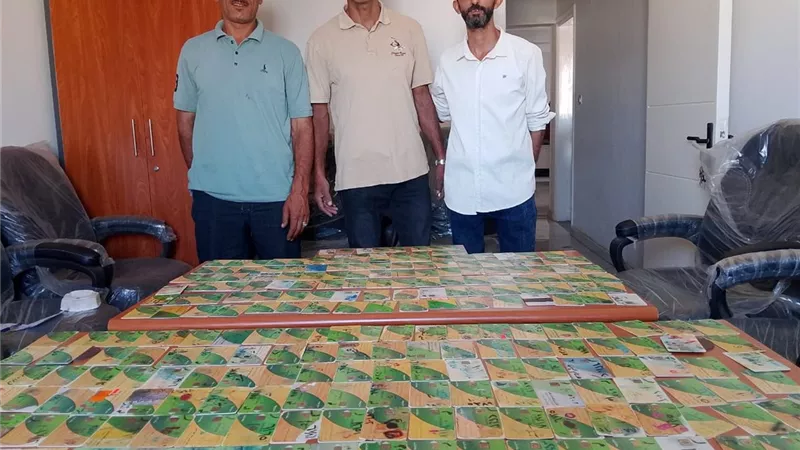 قبضة رقابية تُحكم السيطرة على منظومة الخبز المدعم بالغربية 