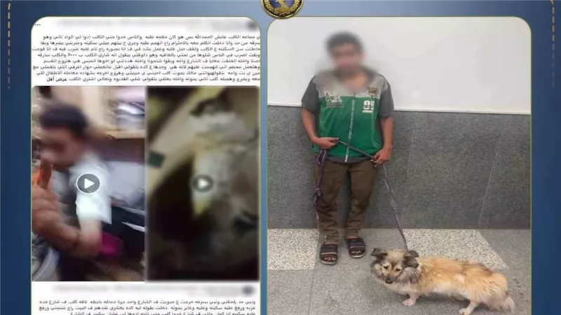 الداخلية تكشف حقيقة فيديو الاعتداء على كلب وتكبيله بالبساتين