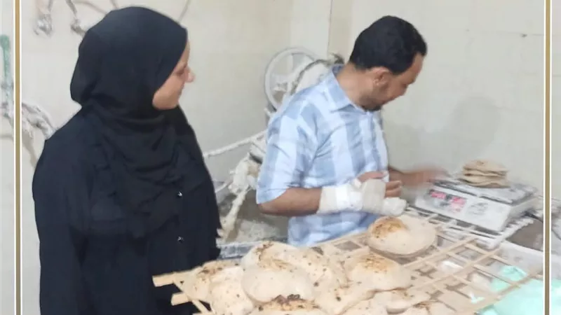 تحرير 26 محضر لمخالفات وحيازة سلع بدون فواتير بمسطا وناصر بنى سويف